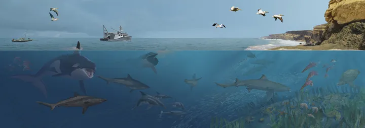 An illustration depicting many sea animals living in the modern seas off Angola. 