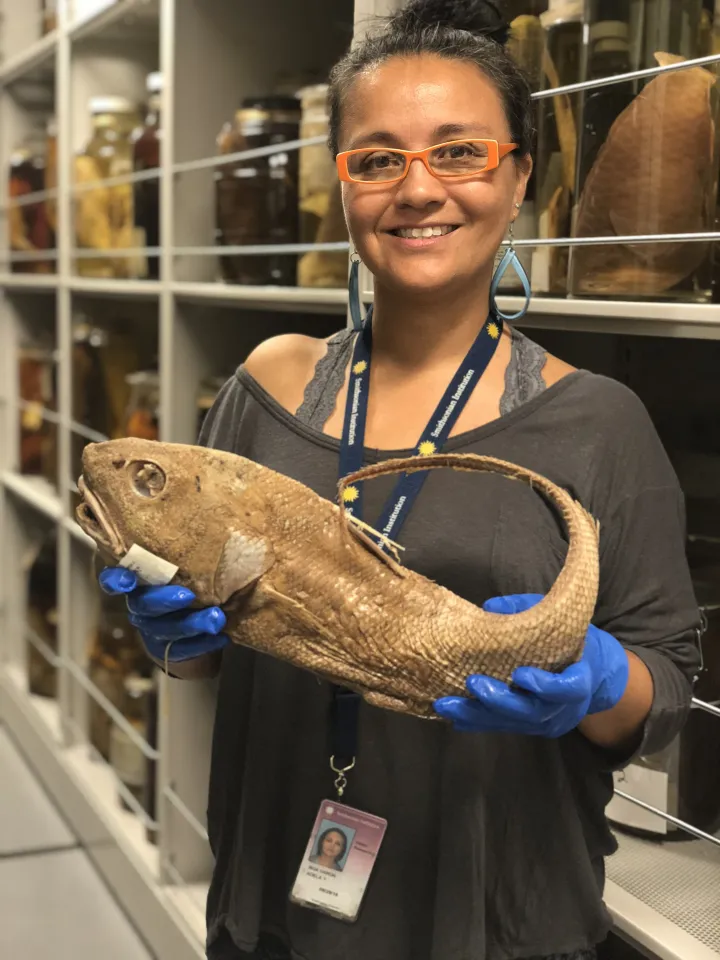 a female scientist with orange glasses holds a preserved fish