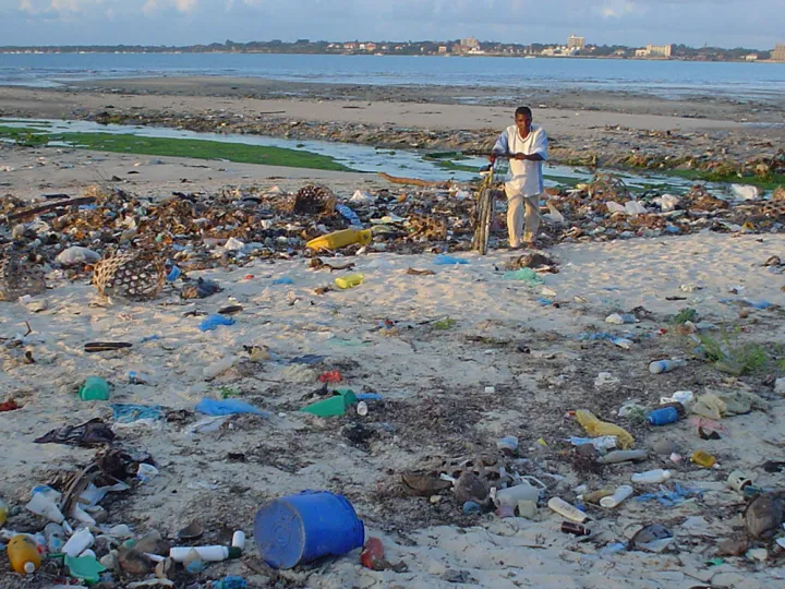 Of the eight million metric tons of plastic dumped in the ocean every year, much of it ends up on beaches like this one in Tanzania. But some companies are working to change that high statistic.