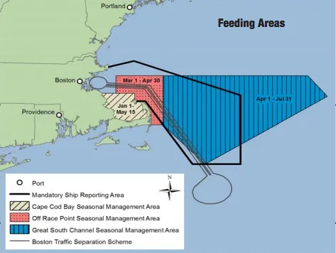 Map of seasonal area restrictions for ships in Northeast U.S. 