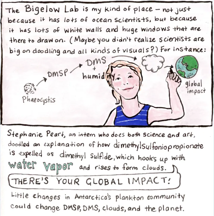 A comic from illustrator Karen Romano Young. 