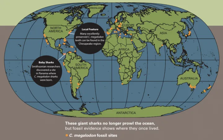 A map of where megalodons lived