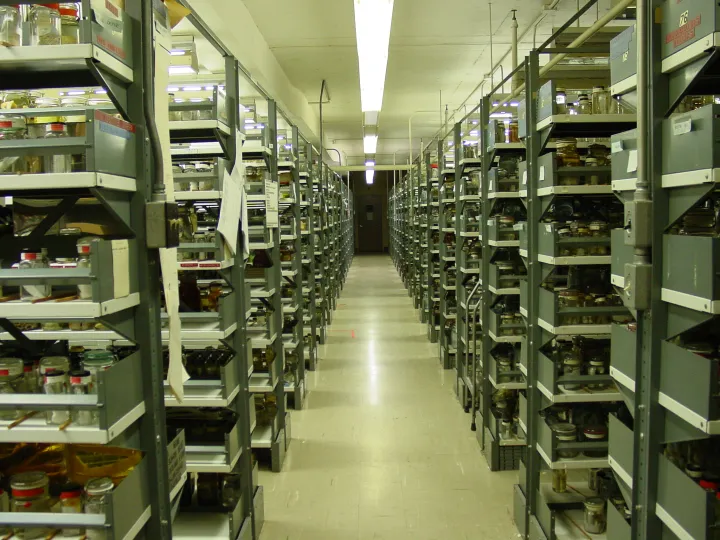 a large room of shelves filled with jars