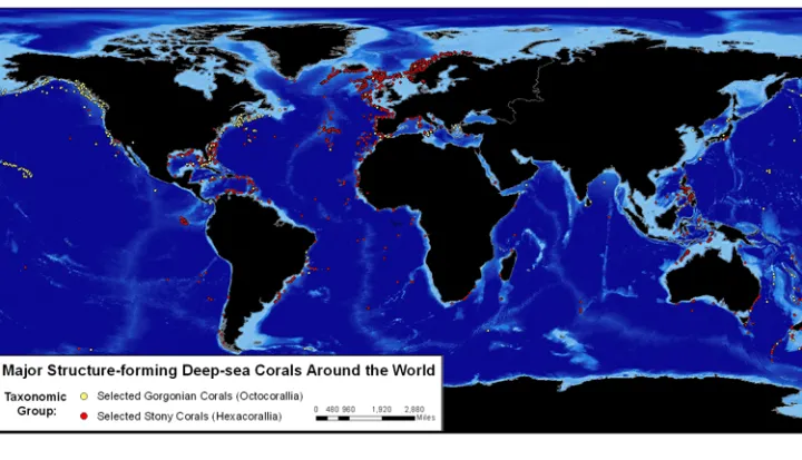 This map shows where some of the most significant species of deep-sea corals are located.