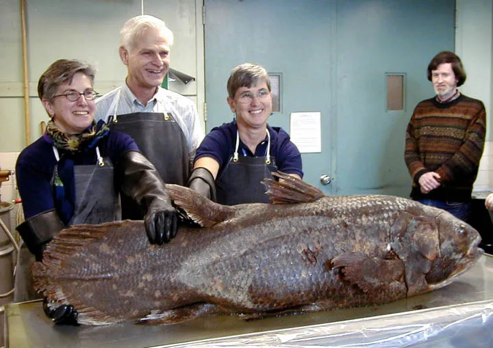 3 people posing with a large fish 