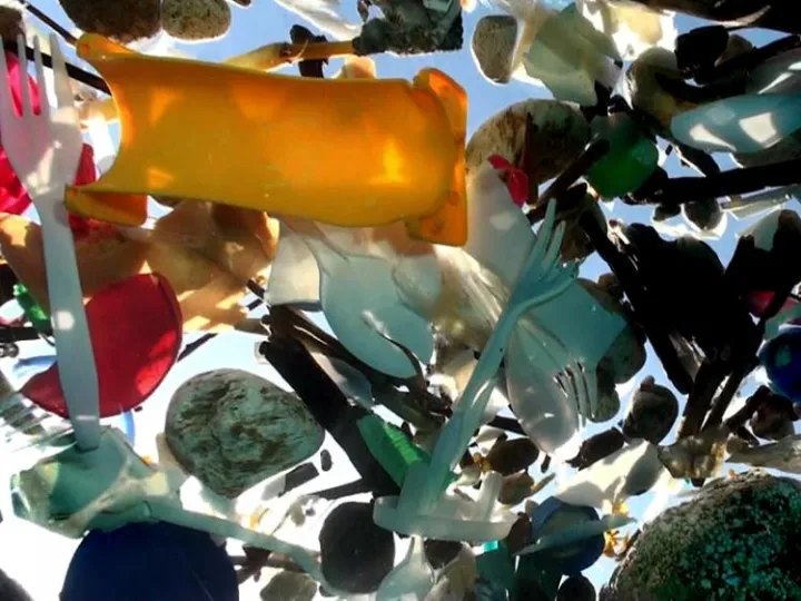 A photo of plastic trash floating in the water, taken from below the surface.