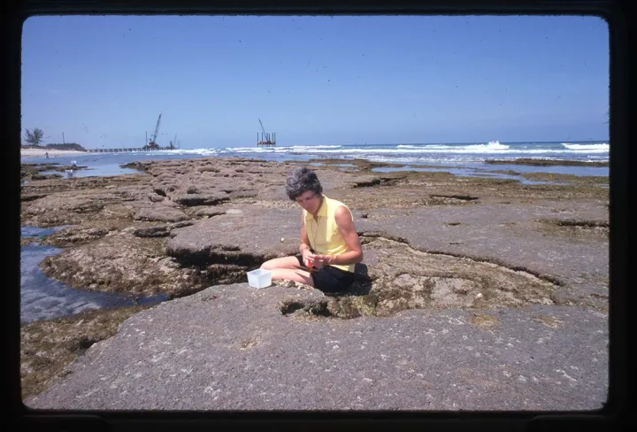 Rice sitting on rocks by the beach doing fieldwork