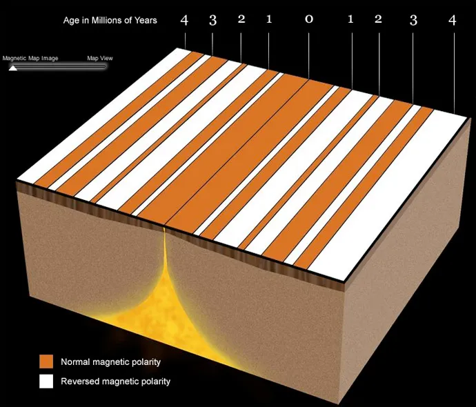 A diagram of white and orange stripes that represent magnetic polarity on the seafloor.