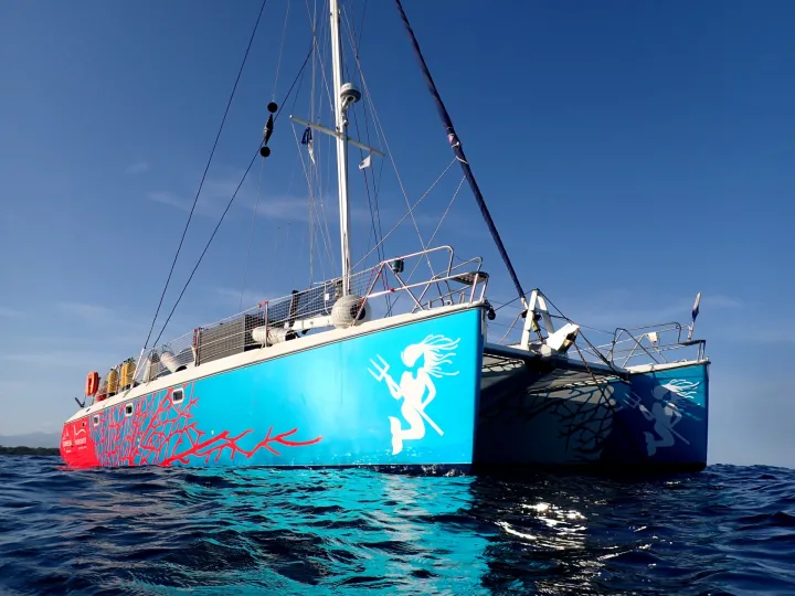 a blue catamaran boat