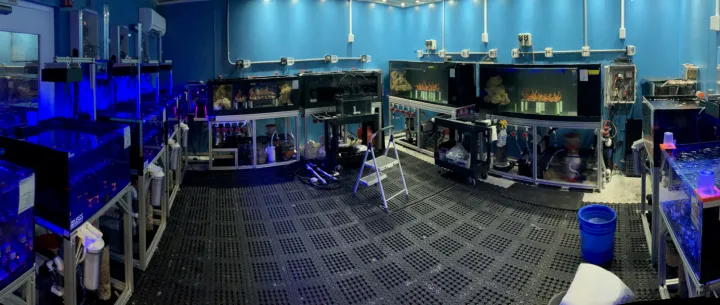 aquarium tanks in a dark room