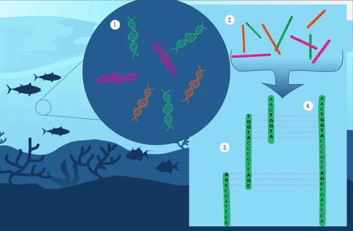 a diagram of using DNA in the ocean
