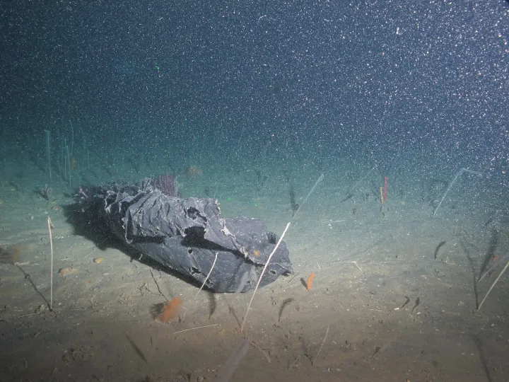 a black plastic bag on the seafloor