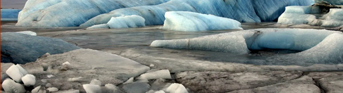 On average, Arctic sea ice has decreased by four percent per decade since the late 1970s.