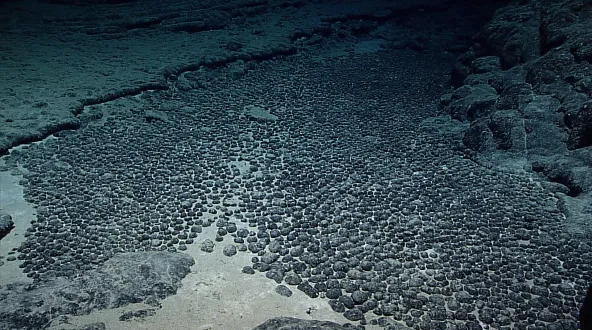 a seafloor littered in potato sized rocks
