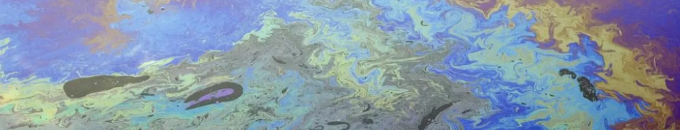 A thin layer of oil on the water's surface, reflecting rainbow colors