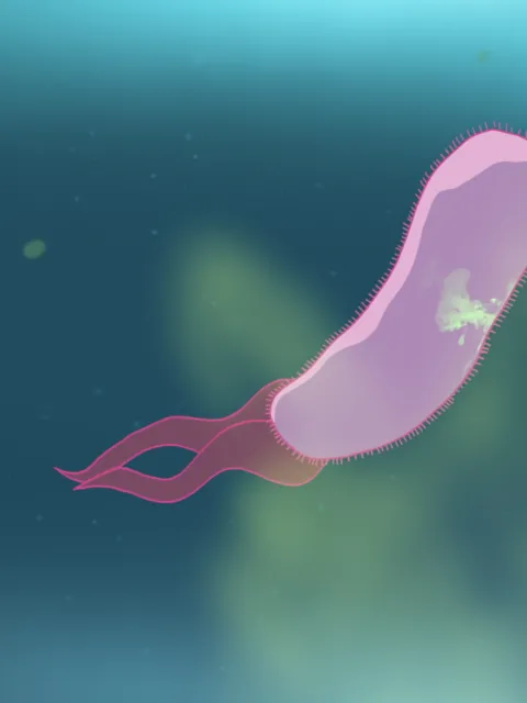 An zoomed-in, purple microbe illustration.