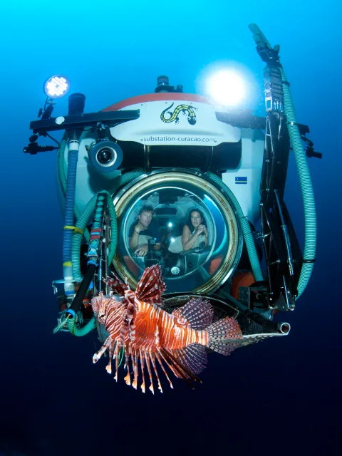 a submersible and a lion fish