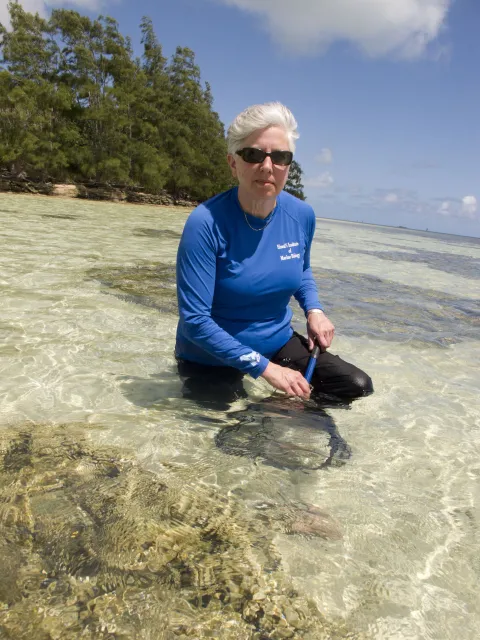 A woman wading with a net