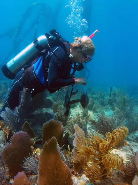 A woman scuba diving among seaweeds 