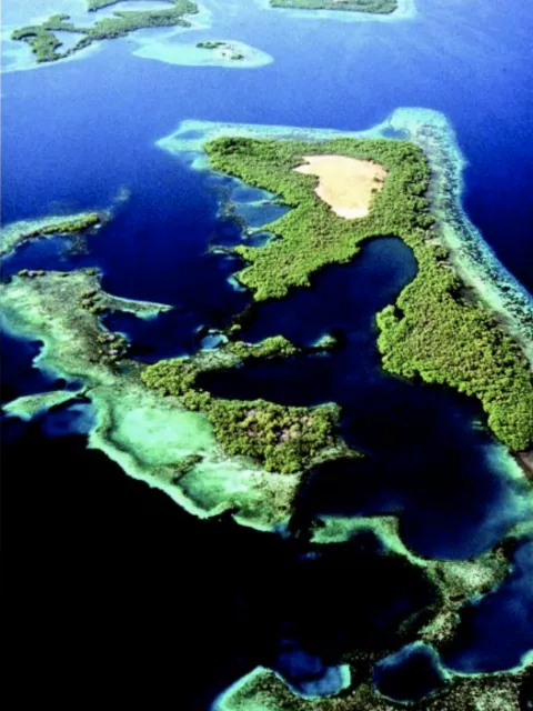 a lush island from above