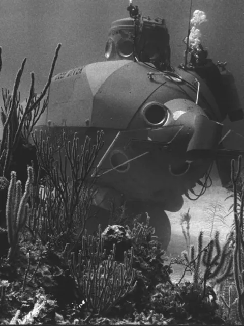 a submersible with coral in the foreground
